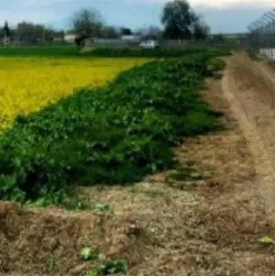 زمین روستای باغو