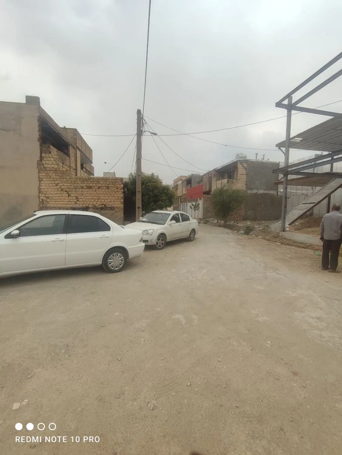 زمین پاپی خالدار