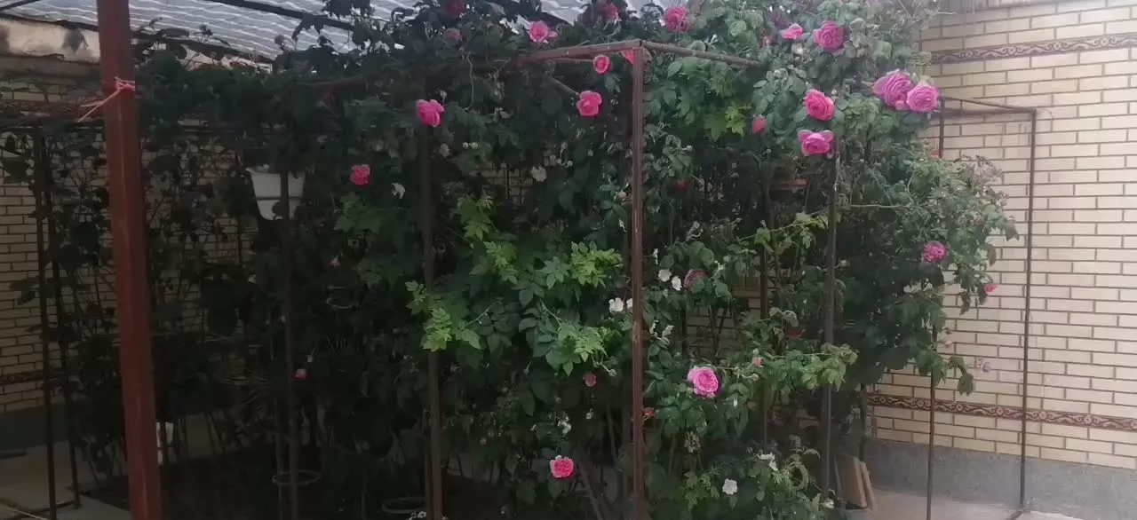 مسکونی 2طبقه ویلایی سده لنجان