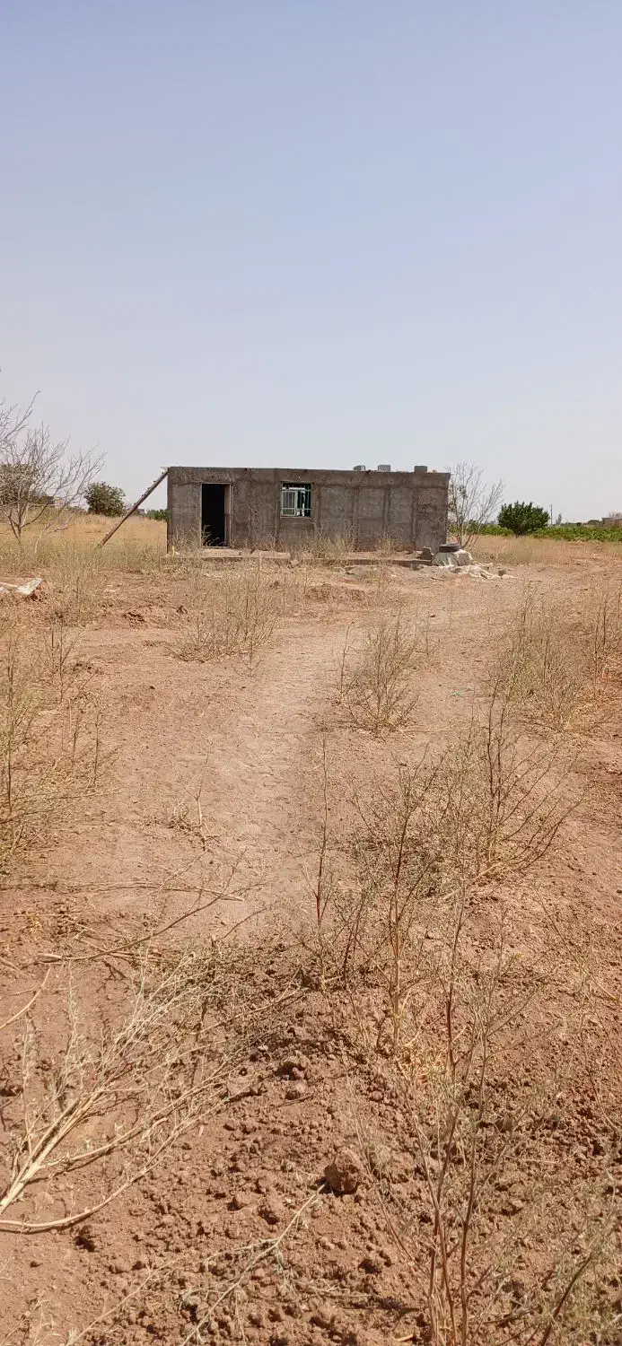 6000 متر زمین کشاورزی در تاکستان