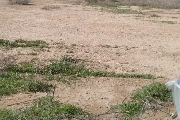 فروش زمین مسکونی