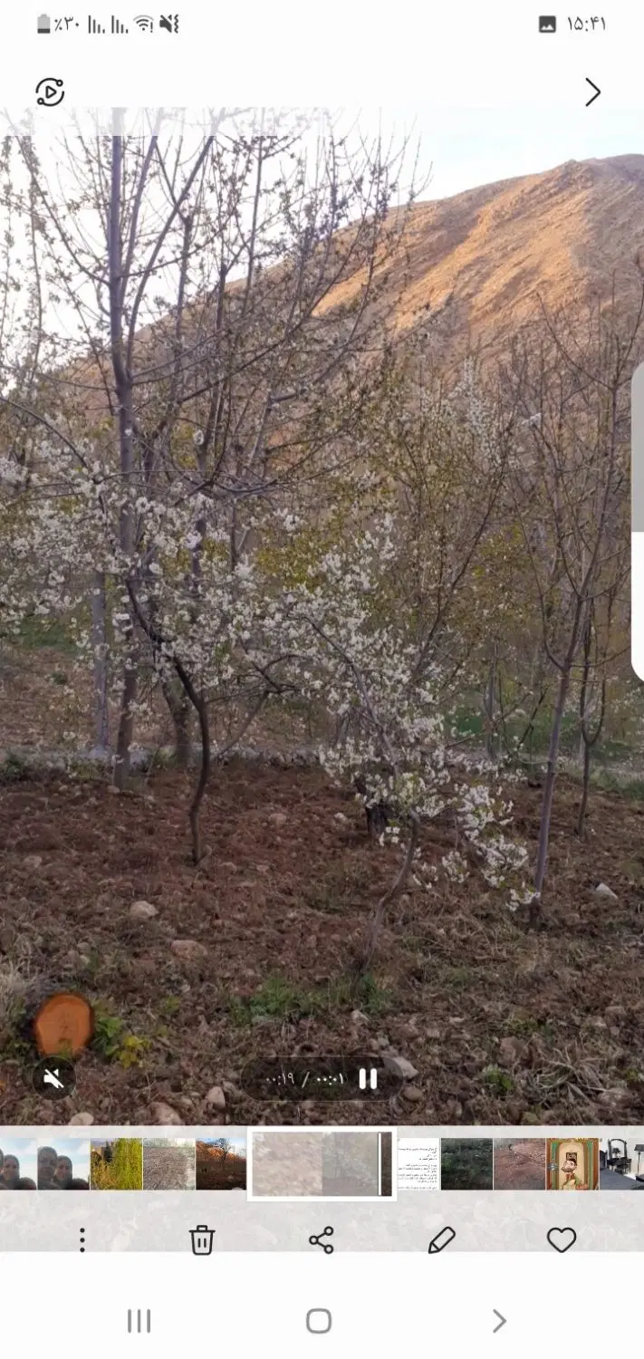 باغ کشاورزی