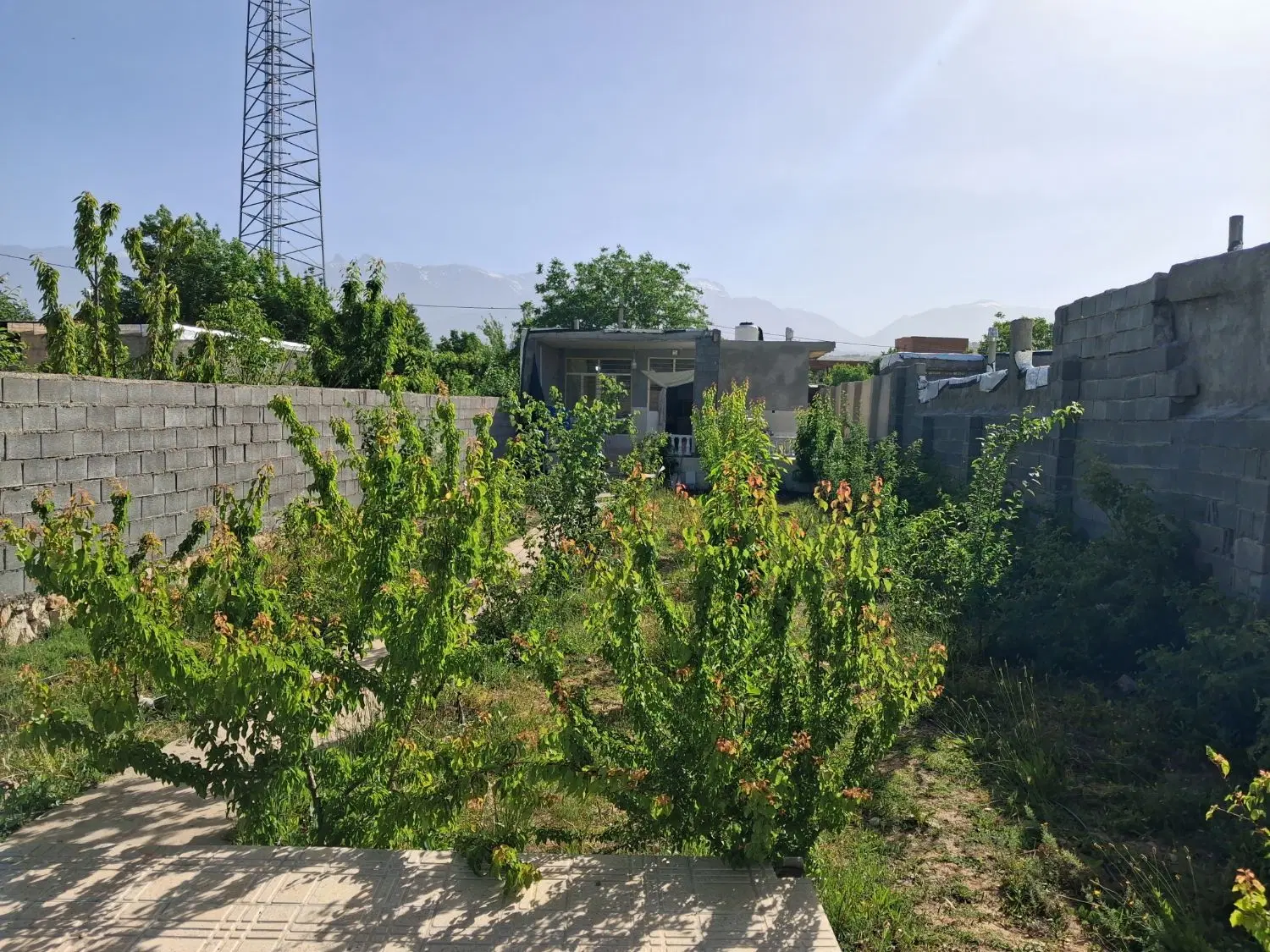 اجاره روزانه ی خانه