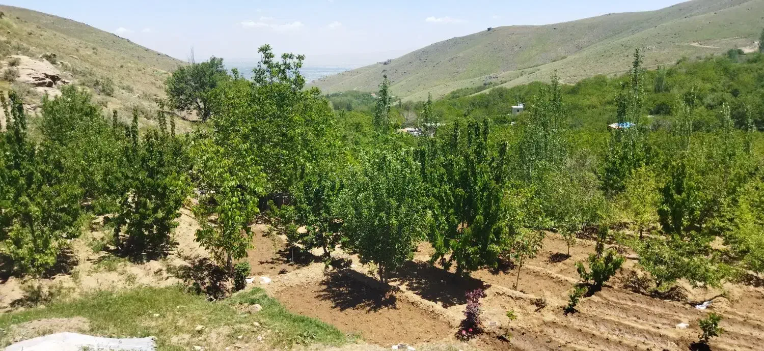 فروش باغ حیدره بالای شهر