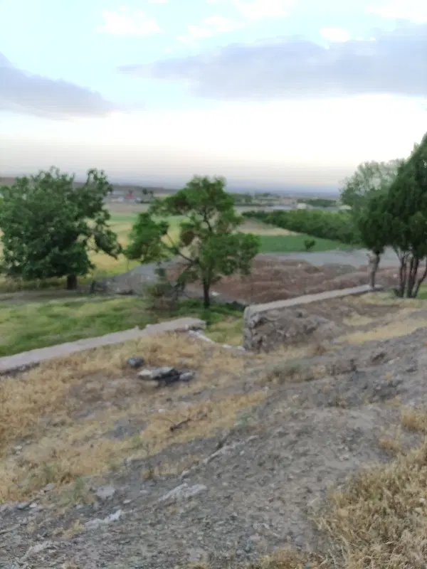 زمین عیش آباد