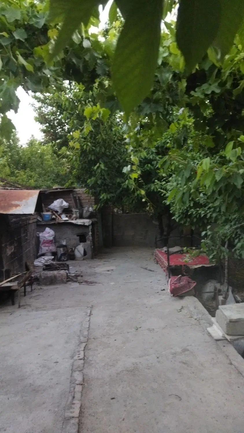 ۱۳۰۰ متردر حوالی روستای فشنجان