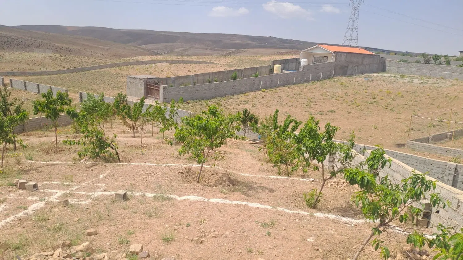 زمین کشاورزی
