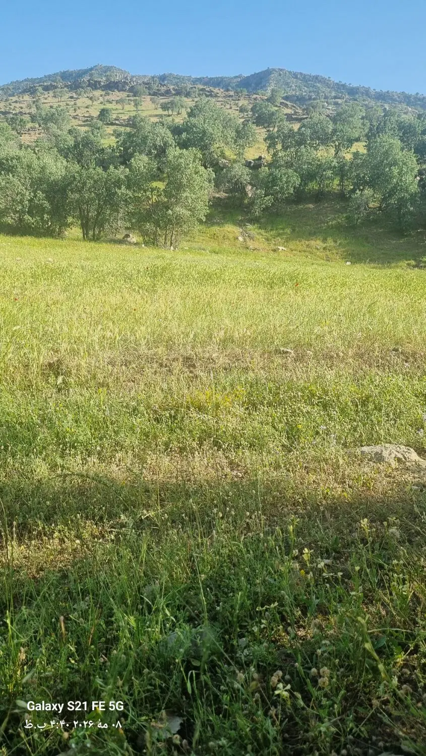 فروش زمین مسکونی هخامنش ۱۰