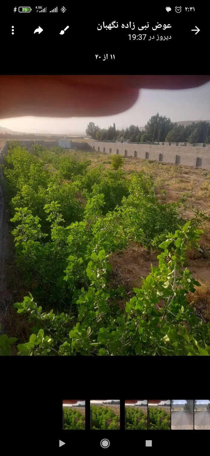 باغ شهری خالداباد