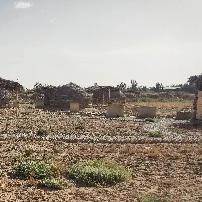 باغچه بومگردی در مزرعه احیاء خاک