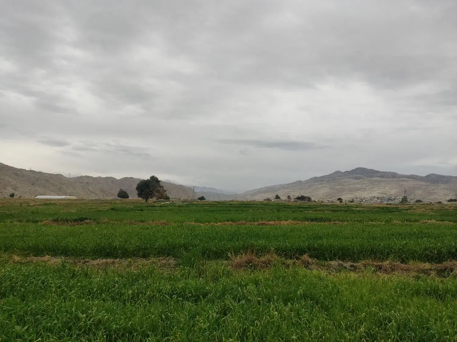 فروش دو دونگ از زمین ۲۵۶ متری