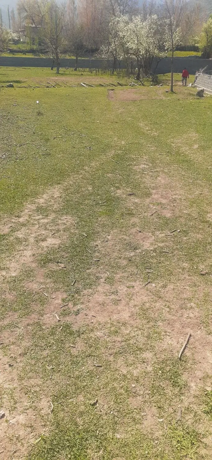 فروش زمین ۵۰۰ متری در روستای کینج (مازندران)