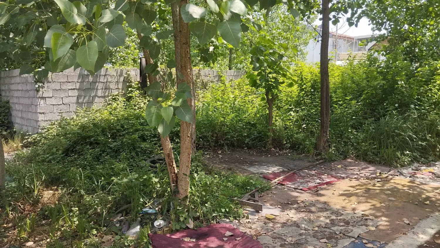 گیلان رشت