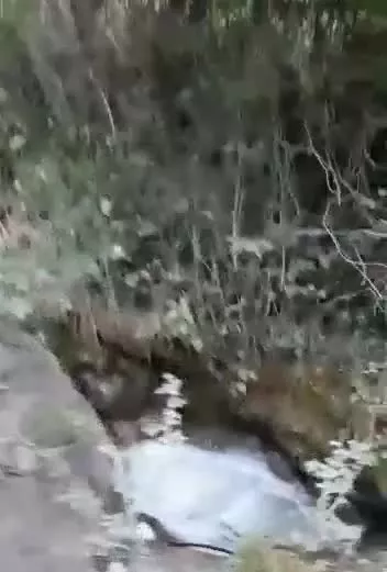 فروش باغ ۱۲۰۰متری