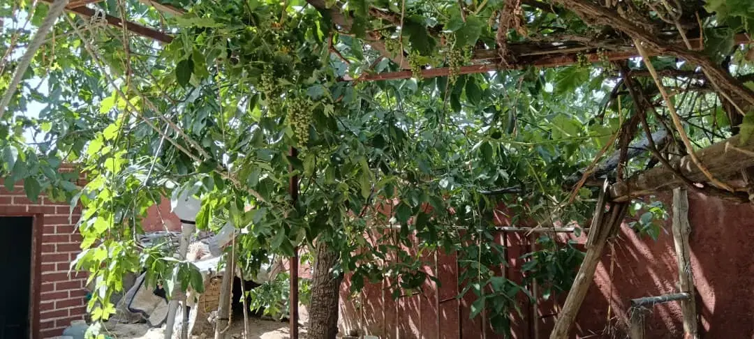 فروش خانه
