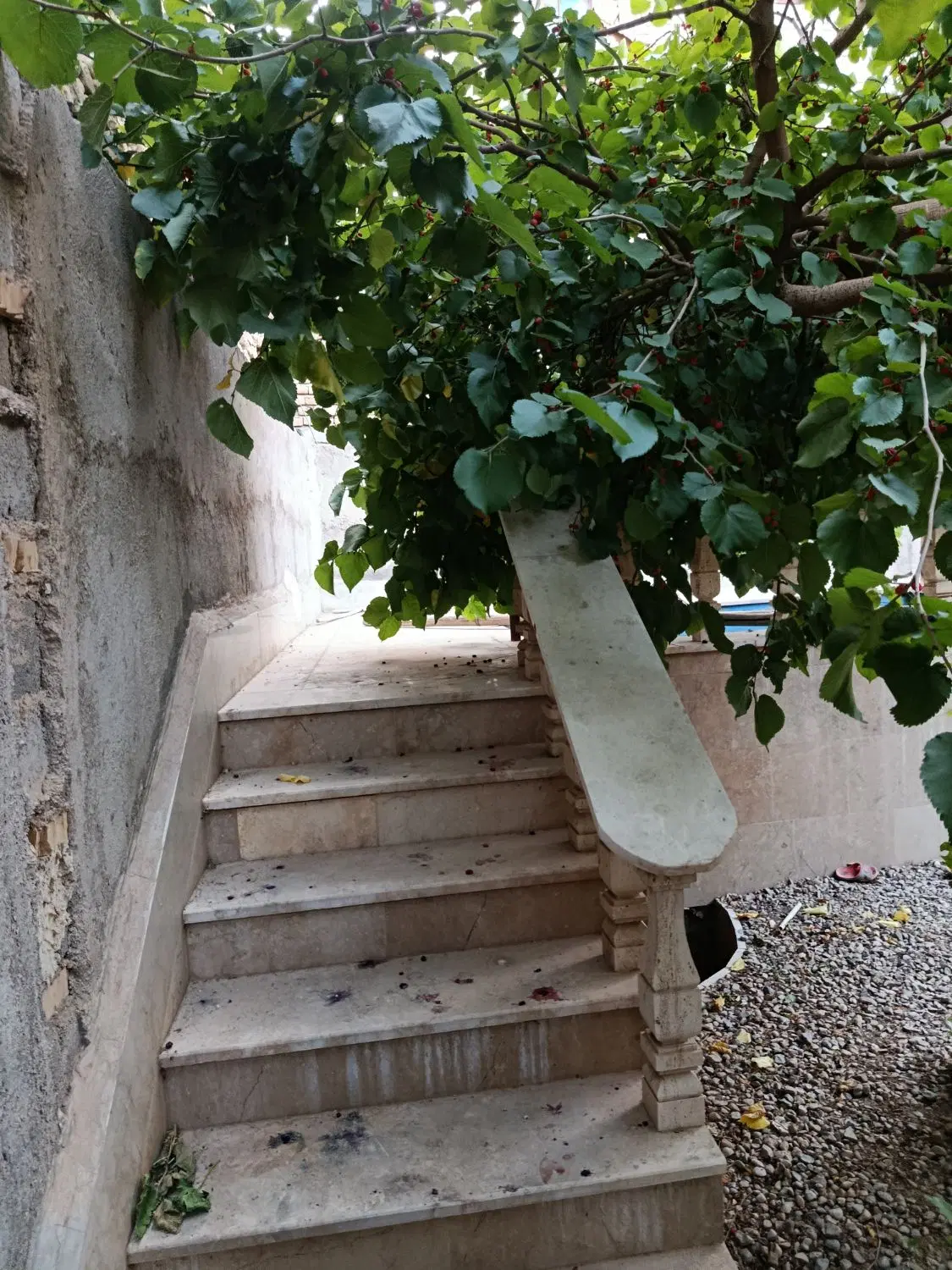 فروش باغ ویلا کیلومتر ۸ جاده سیمان روستای علی آباد