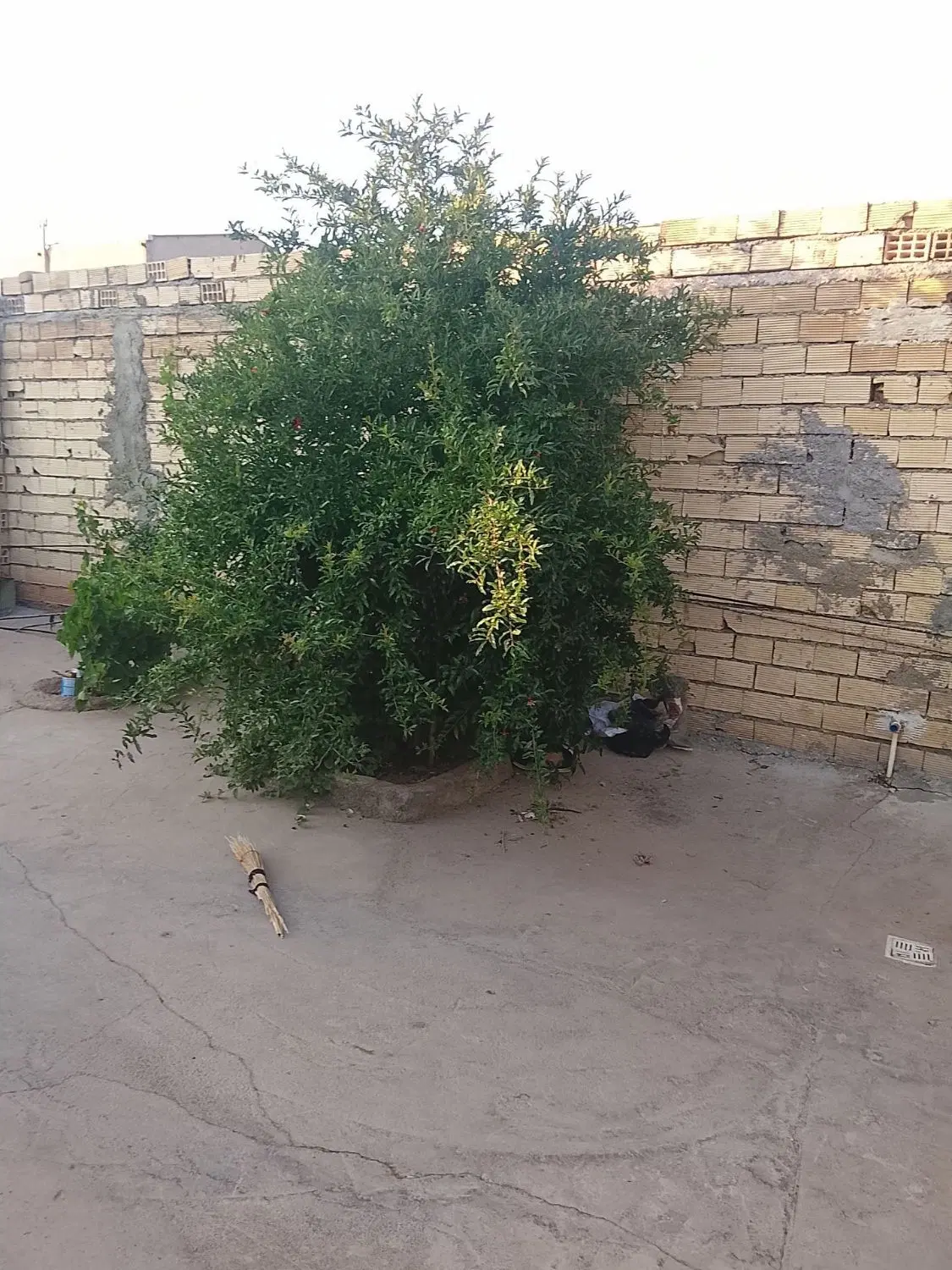 اجاره مسکونی