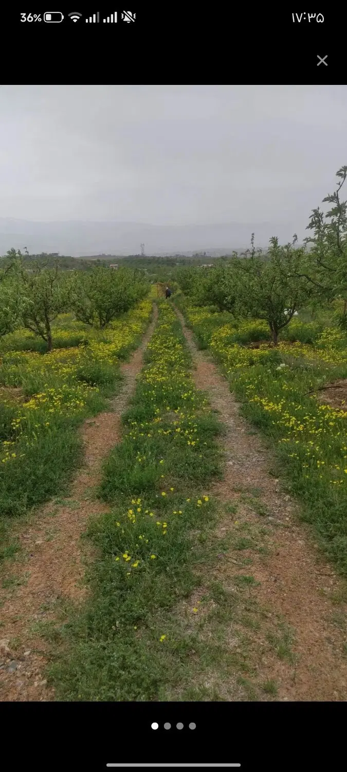 فروش باغ