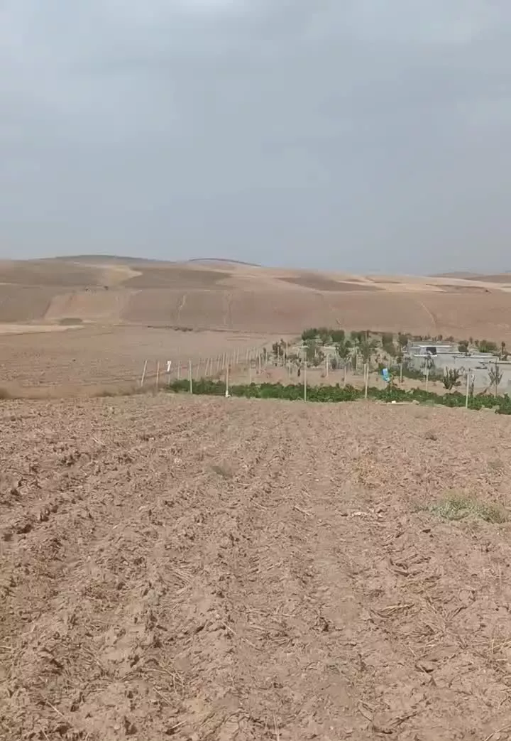 زمین کشاورزی حیران