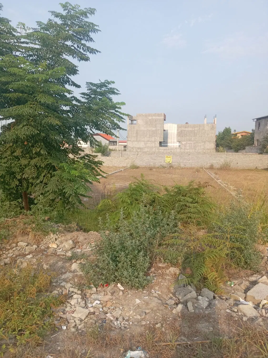 فروش زمین در مازندران آمل دابو دشت