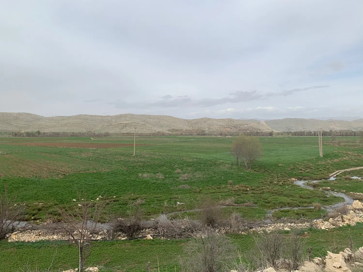 زمین مادوان
