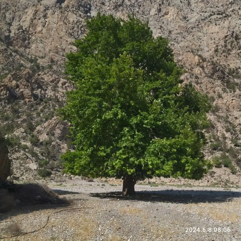 زمین  فروشی درگز
