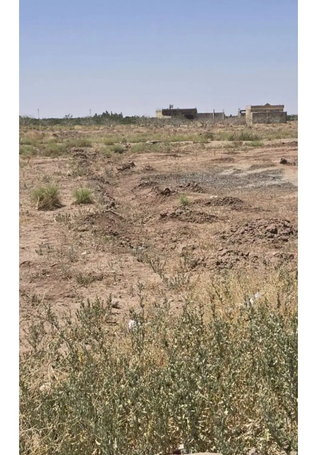 تجاری فکوری آینده