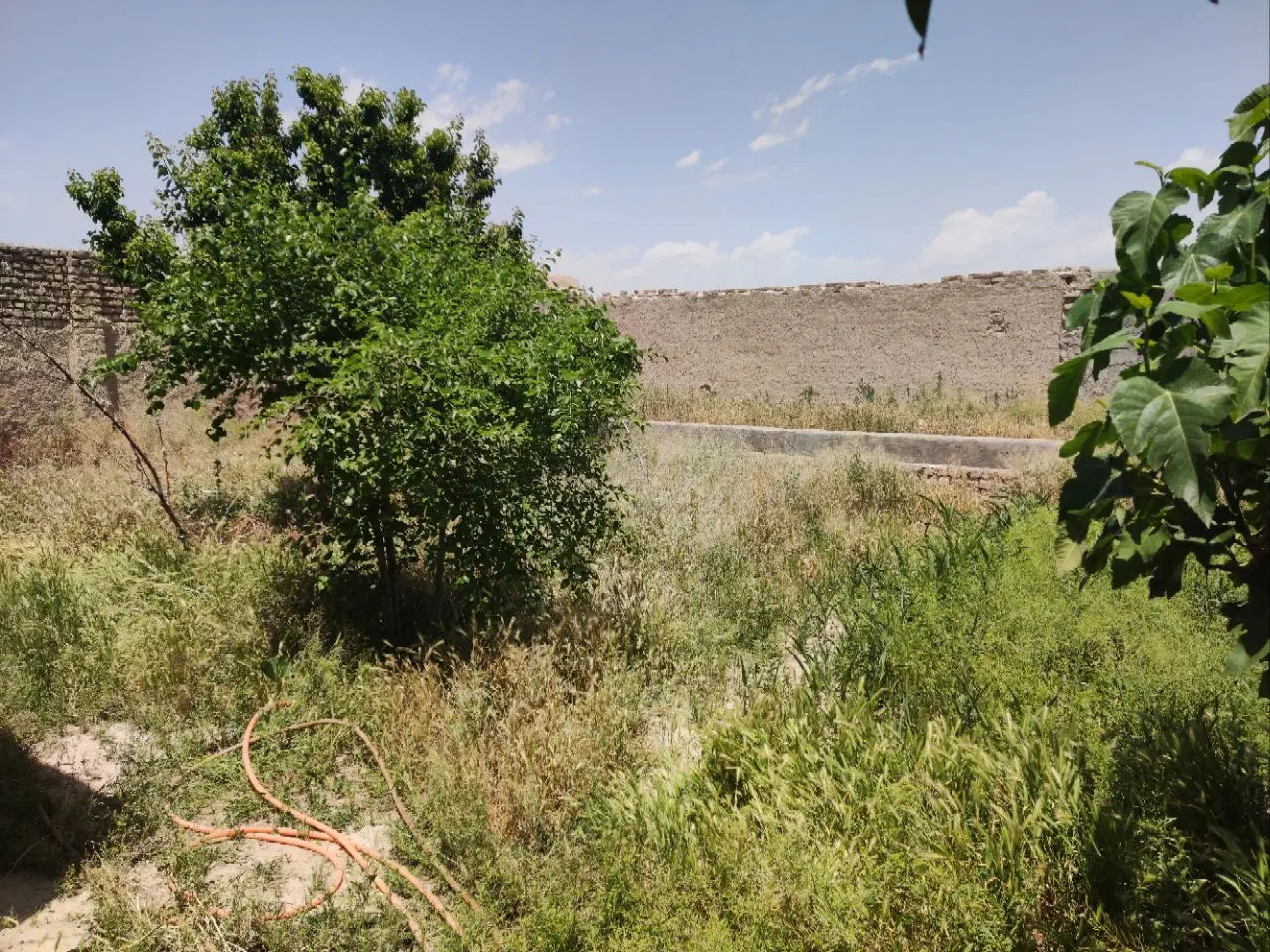 زمین لخشک