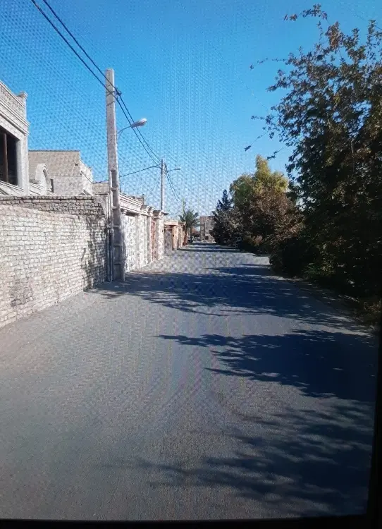 زمین حکمت۶۵