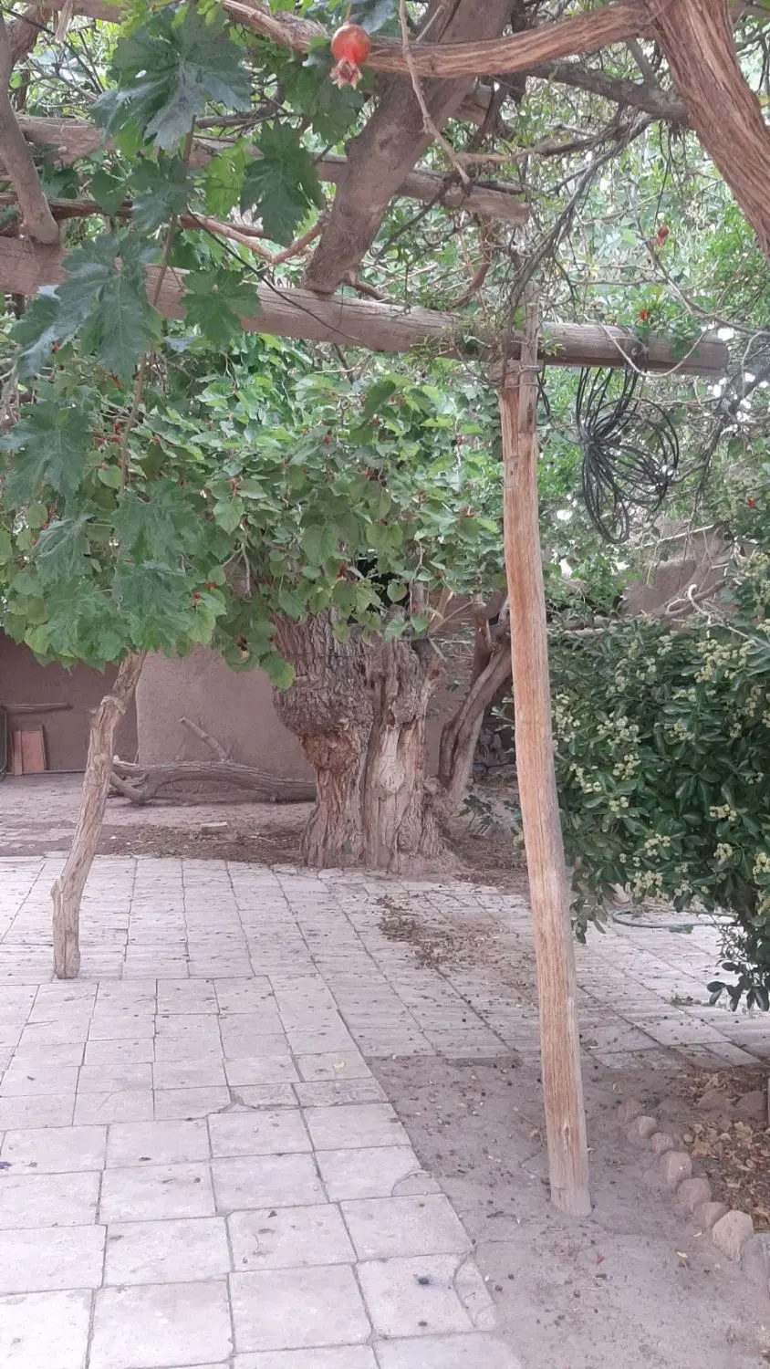 خانه باغ راین