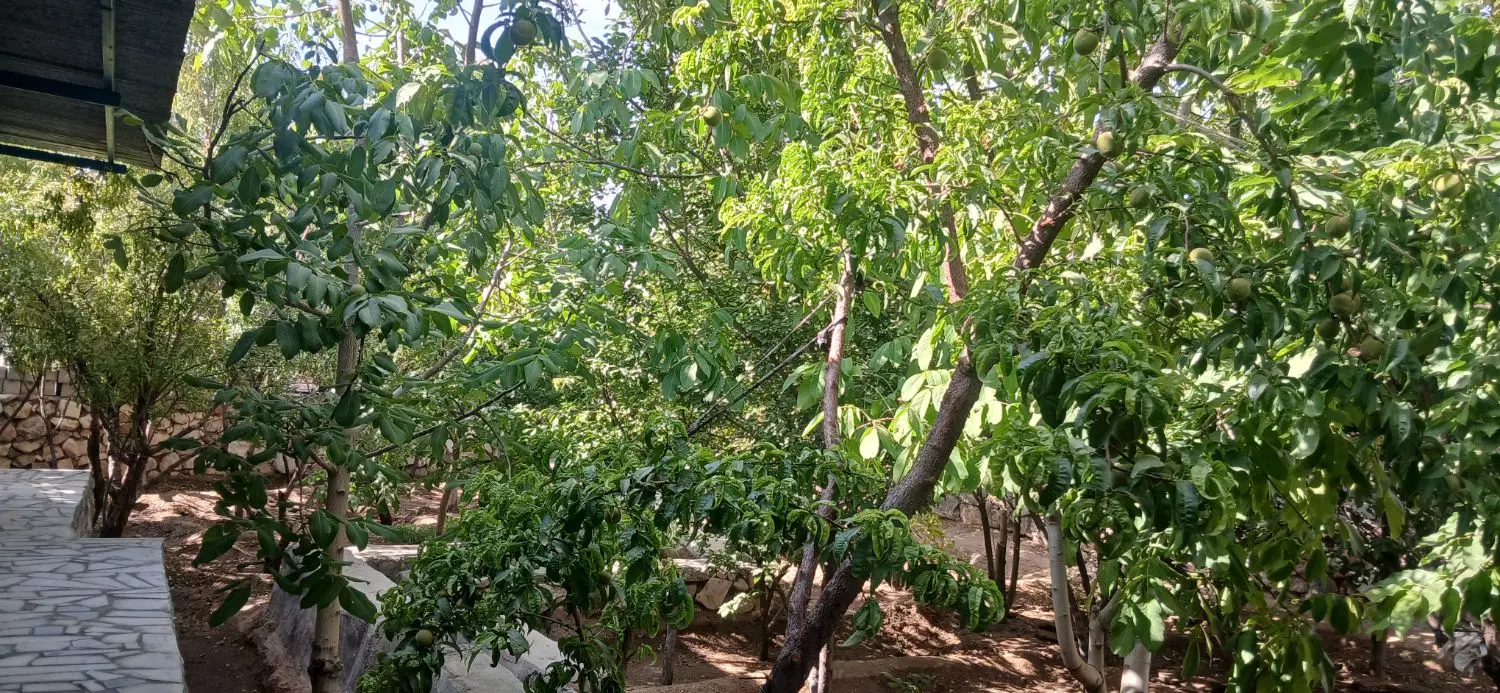 خانه باغ فروشی بنادک سادات