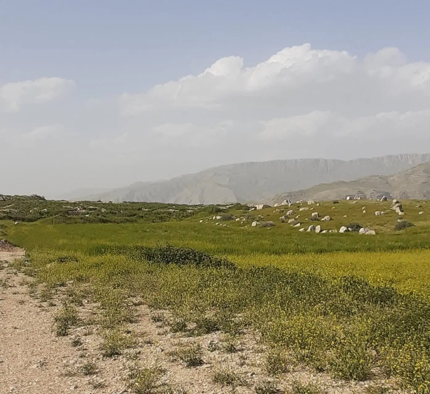 ملک زمین