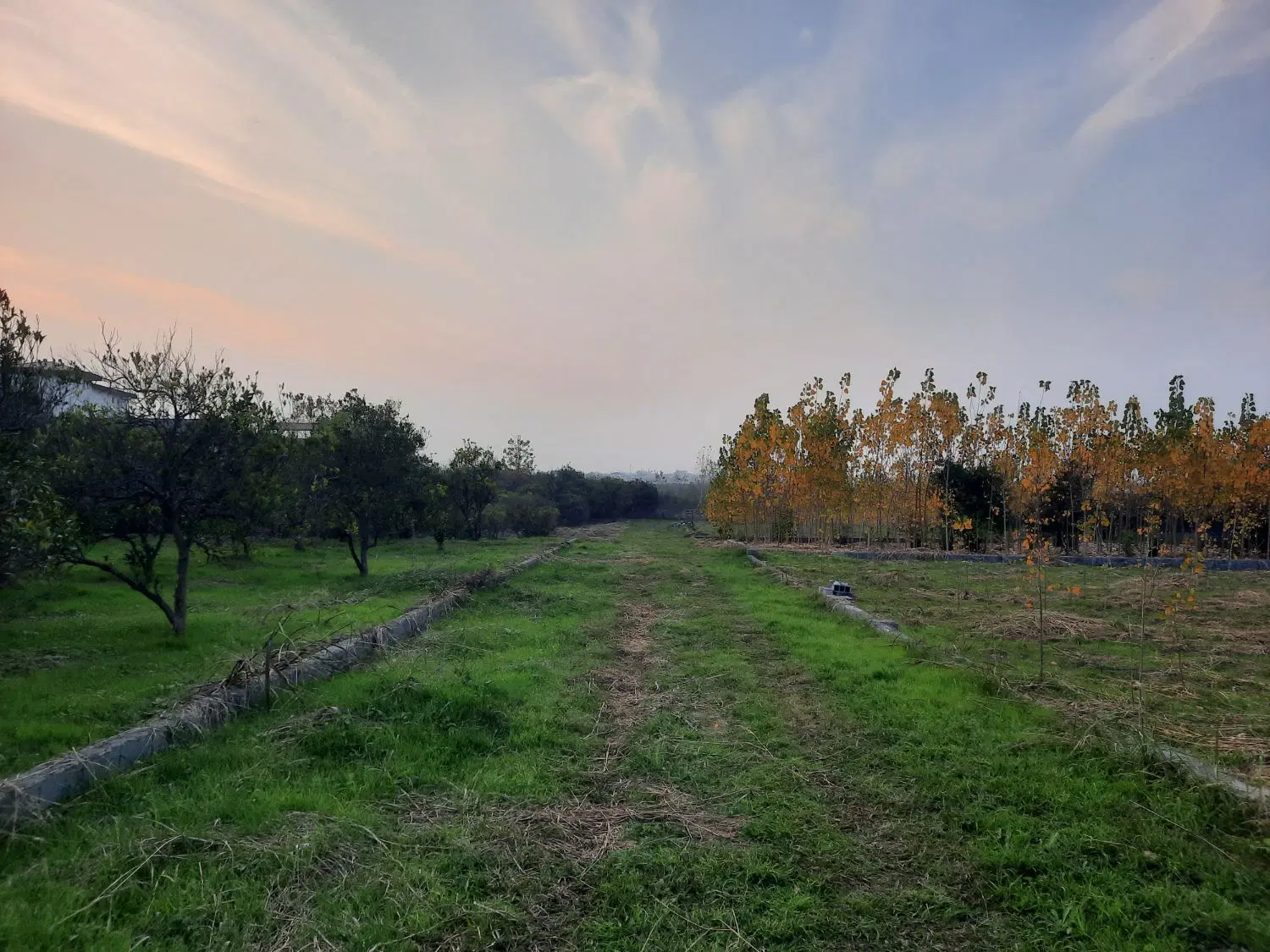 زمین مناسب سرمایه گذاری