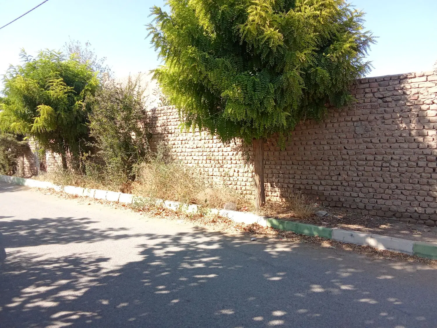 104زمین