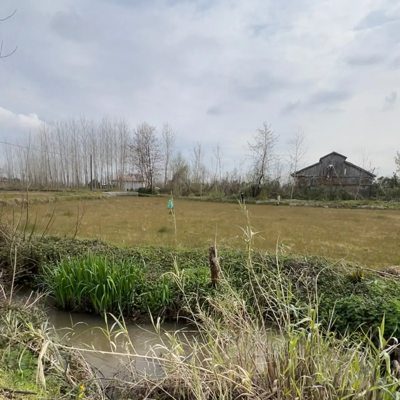 زمین  داخل طرح هادی