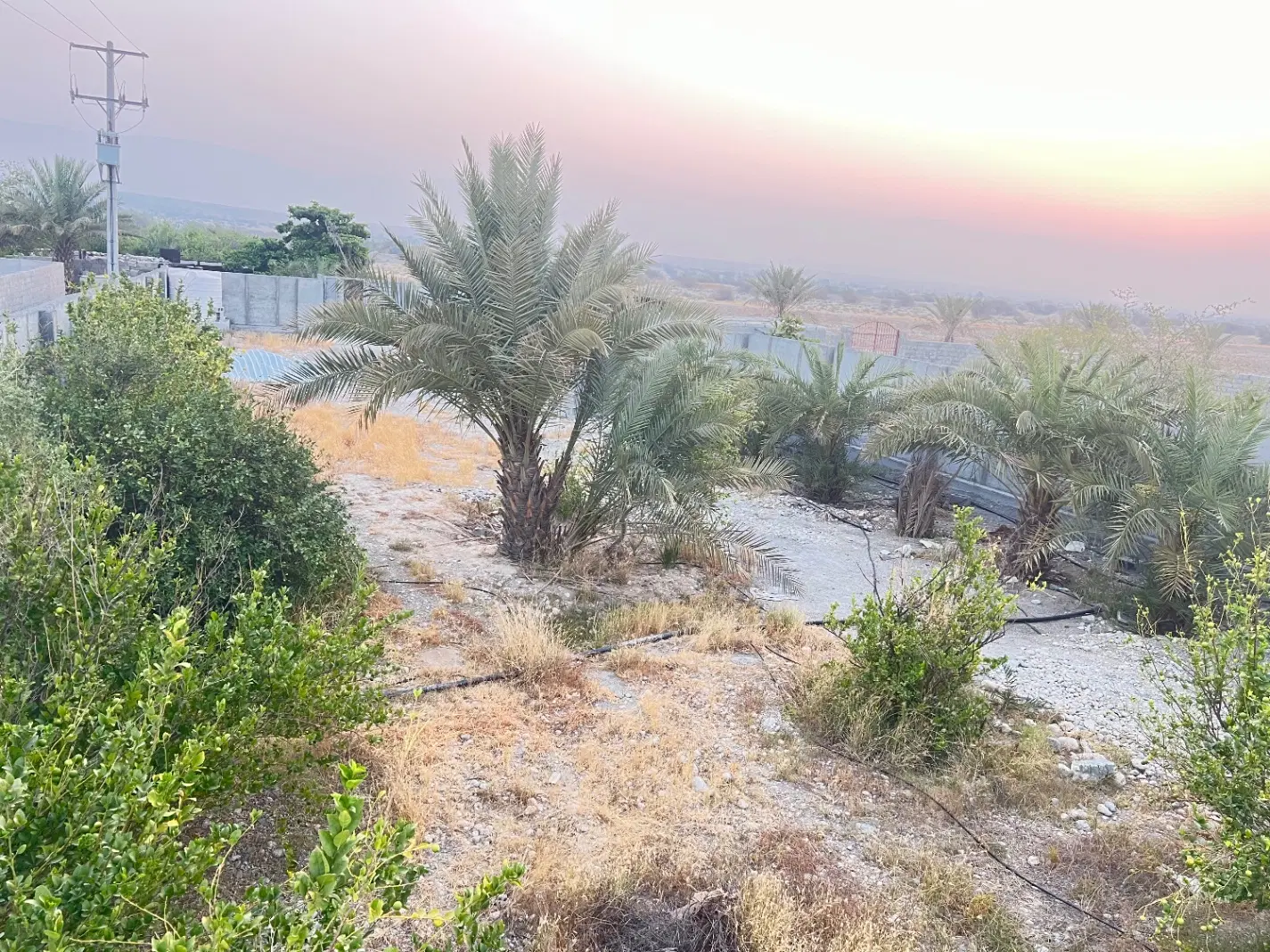 فروش ویژه زمین هورمودر