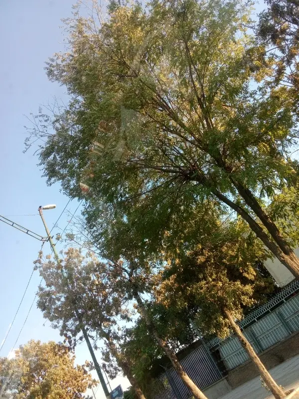 خانه کلنگی قدیمی تقریبا قابل سکونت