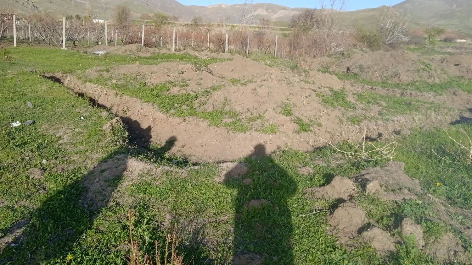 زمین ۱۰۰متری نایسر