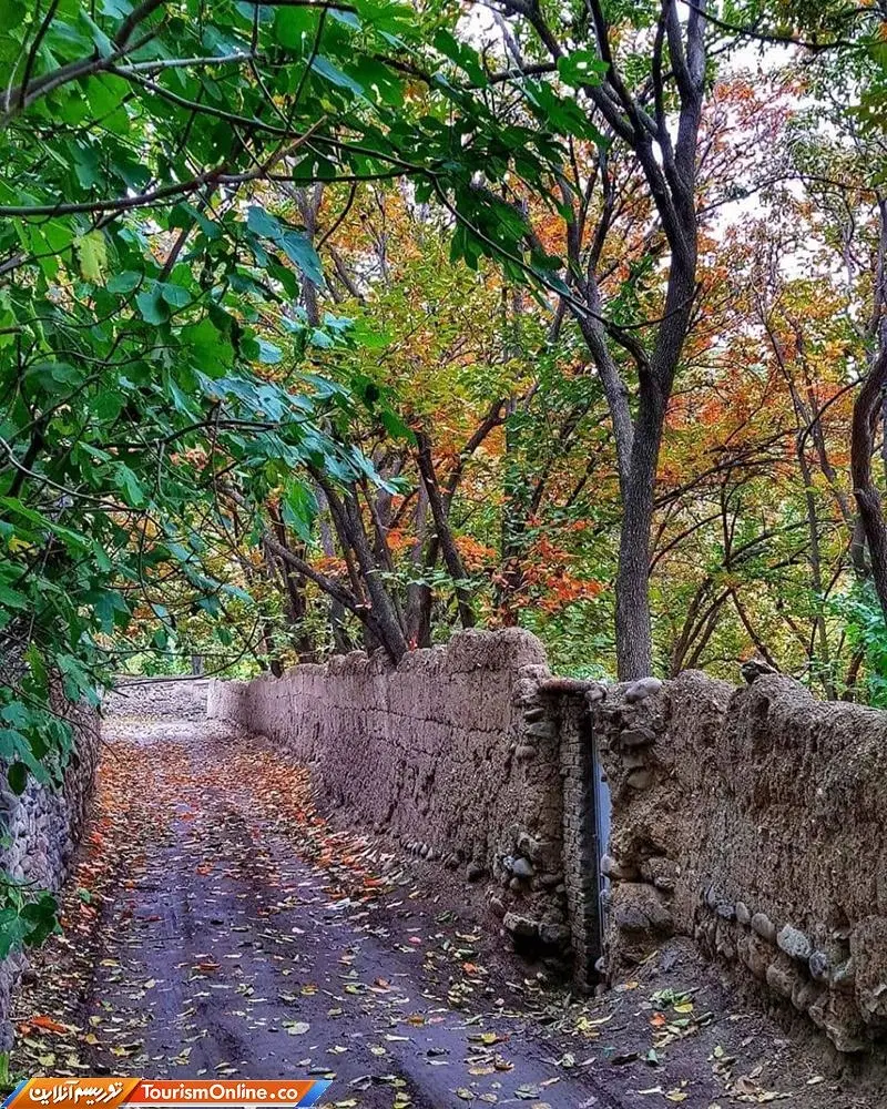 فروش باغ