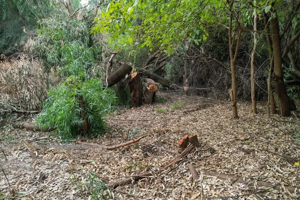 ۷۵۰ متر زمین کنار رودخونه روستای برغان