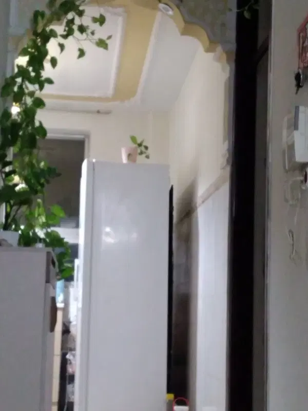 فروش خانه۴۵متری کوچه عزیزمصر