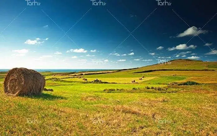 زمین