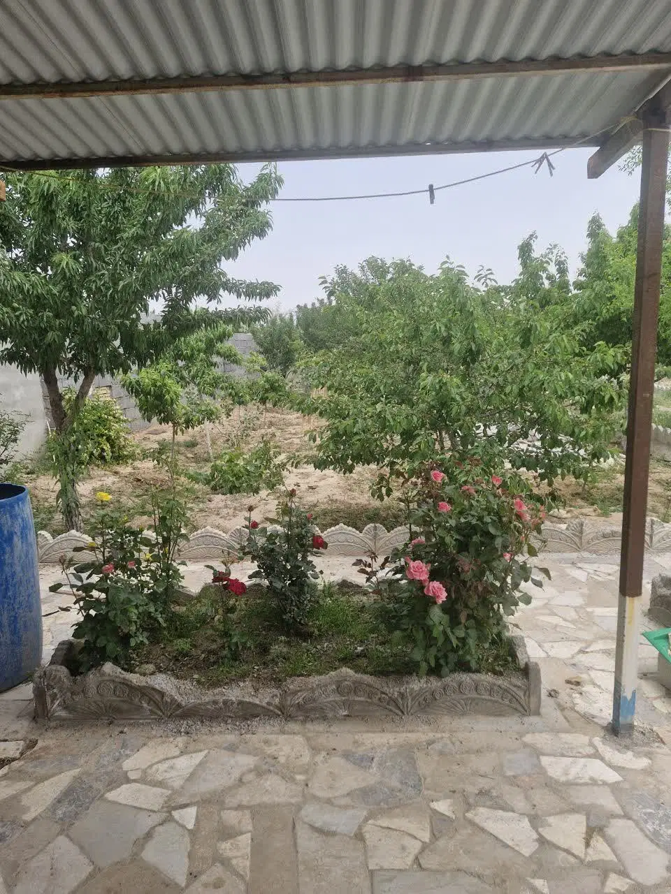 باغ ۱۰۰۰ متری شاهنامه