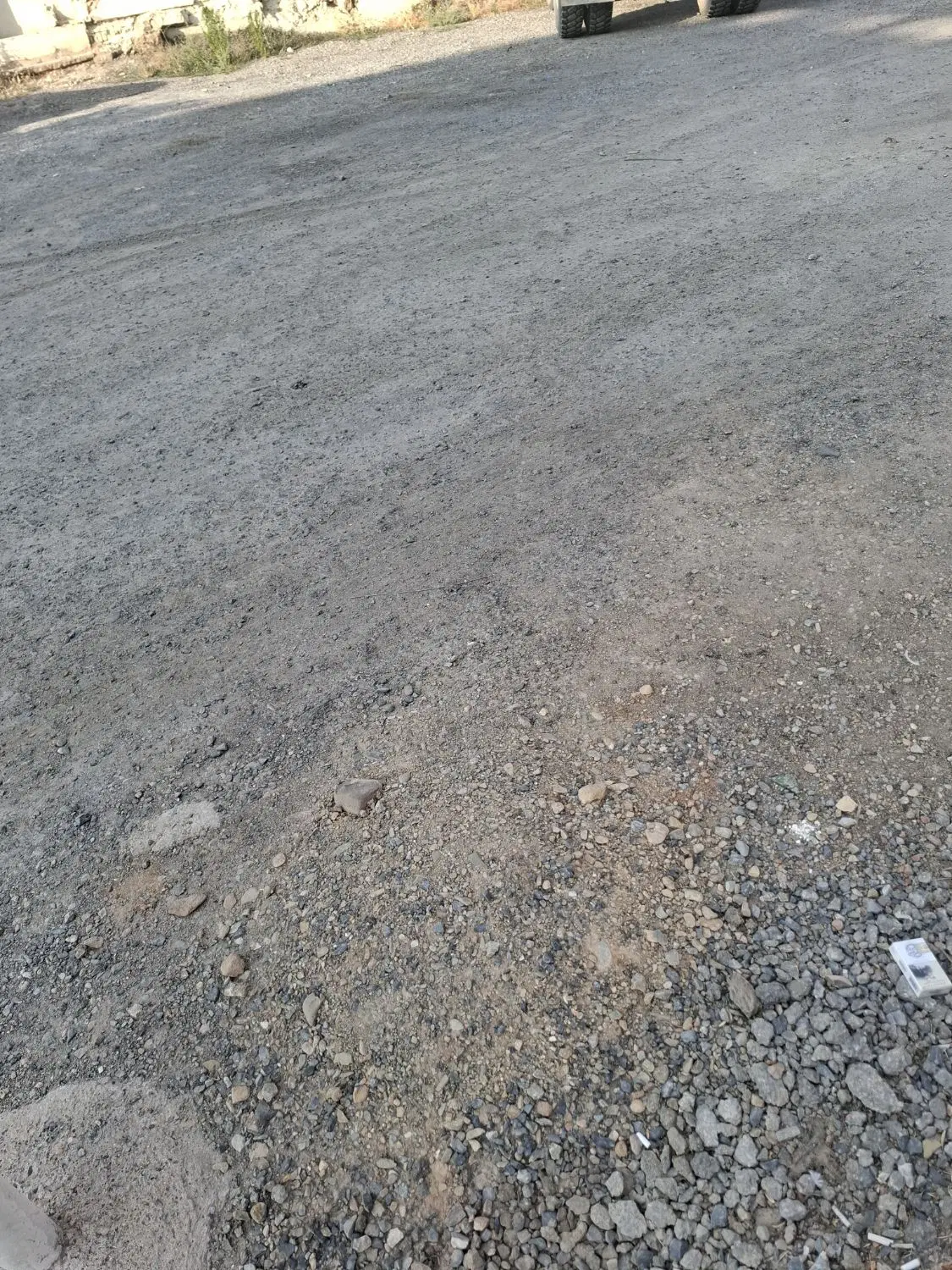 زمین باغی