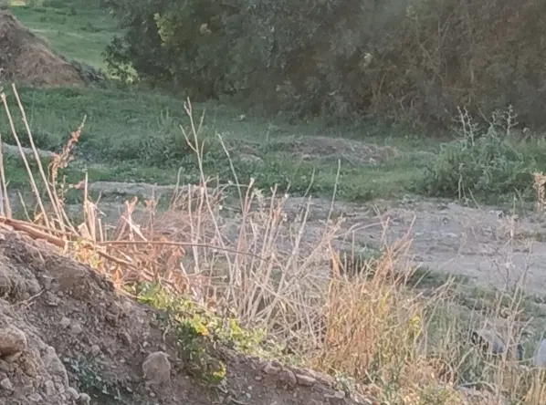 فروش زمین مسکونی