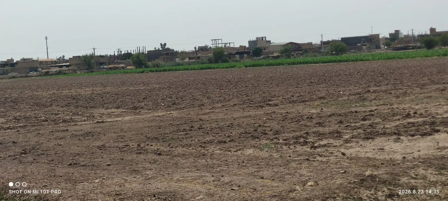 زمین باغچه۷۰۰۰متری کوی پردیس بنجعفر