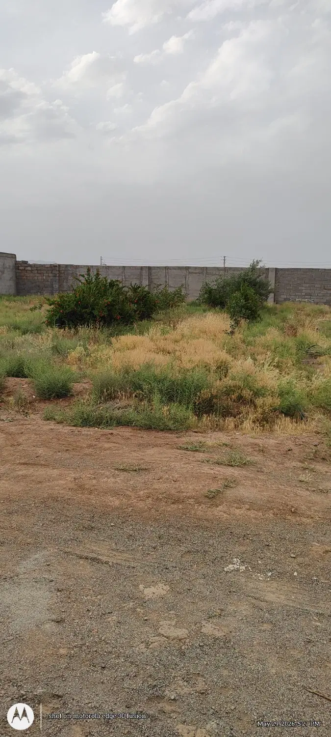 باغچه . زمین شهرکی