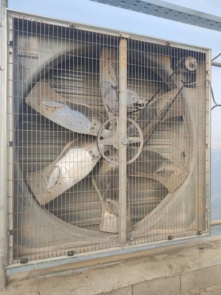 گلخانه برای فروش