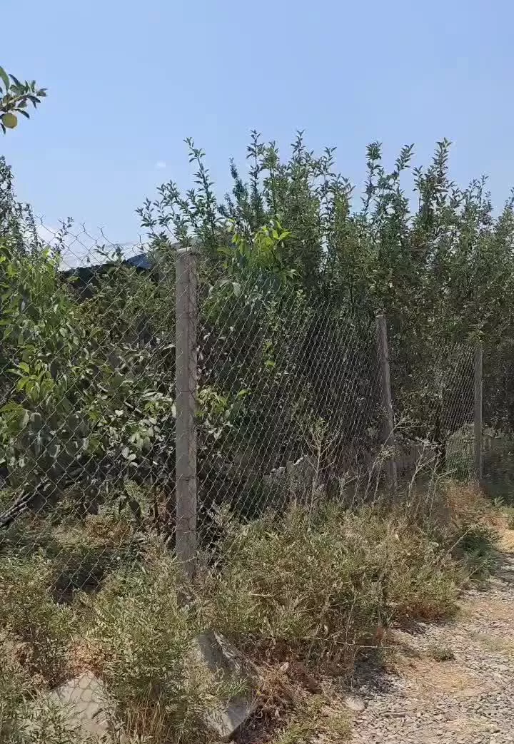 باغ خوشگل