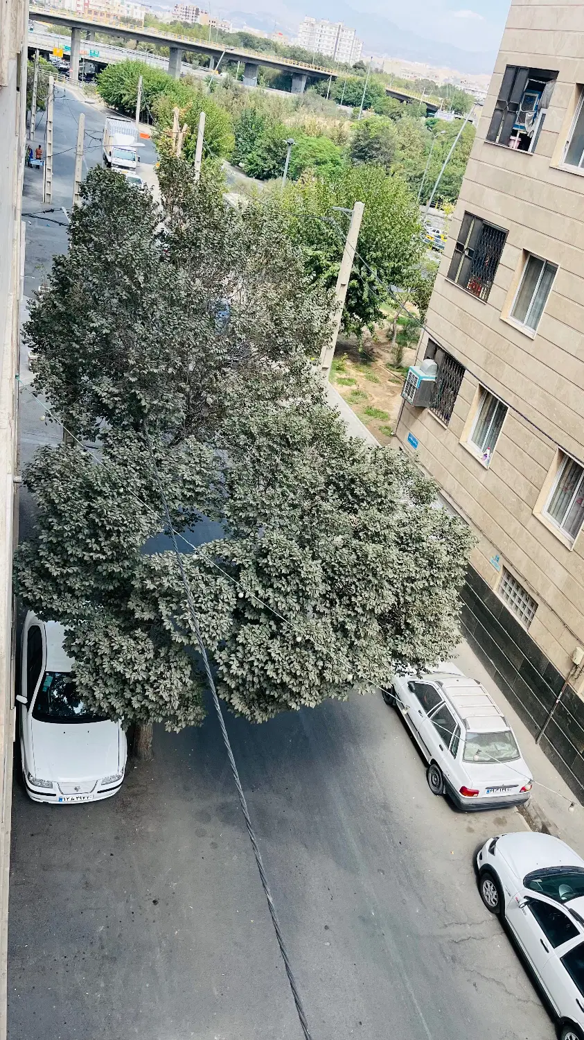 آپارتمان ۷۵ متری نفیس شمالی